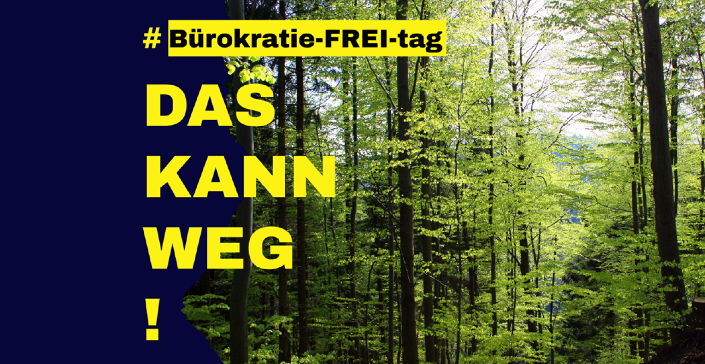 Jetzt müssen Unternehmen auch noch den deutschen Wald retten
